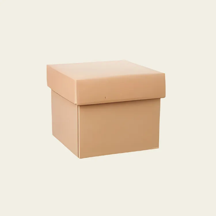 Best-Selling Custom Kraft Boxes With Lid Wholesale - Hot Custom Boxes
