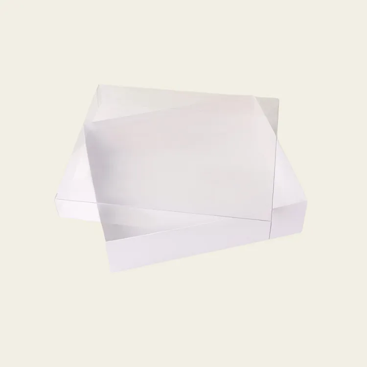 CLEAR-LID-BOX-1-1