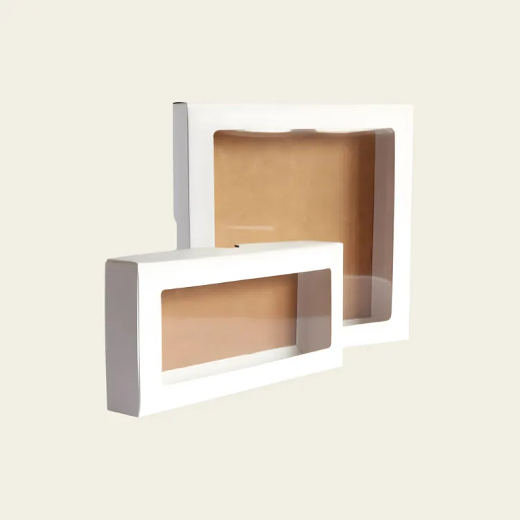 CLEAR-LID-BOX-4