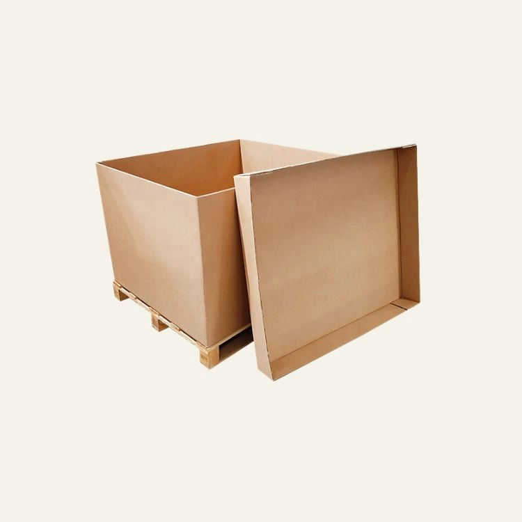 Eco-Friendly Packaging Boxes 5