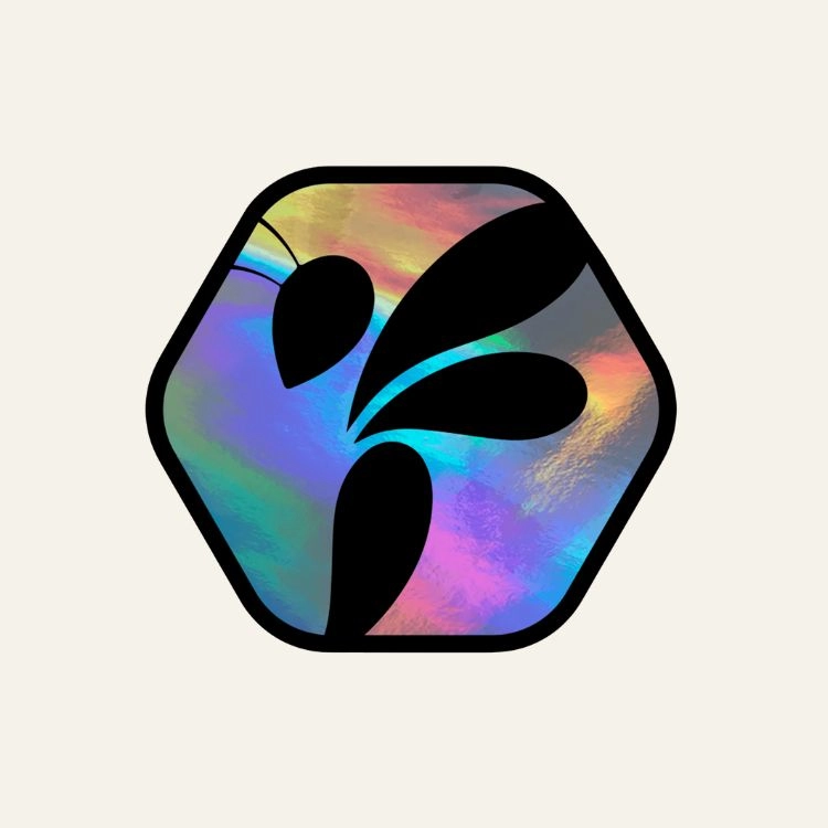 Custom Hologram Stickers8