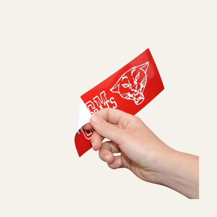 Vinyl Bumper Stickers1