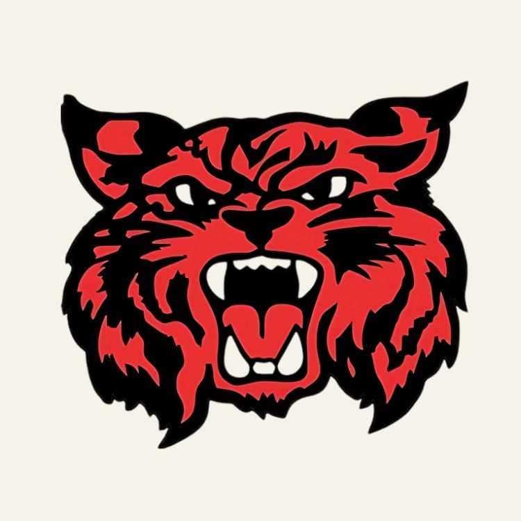 Vinyl Bumper Stickers5