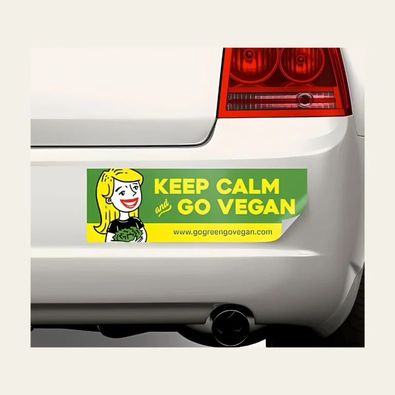 Custom Car Bumper Sticker5