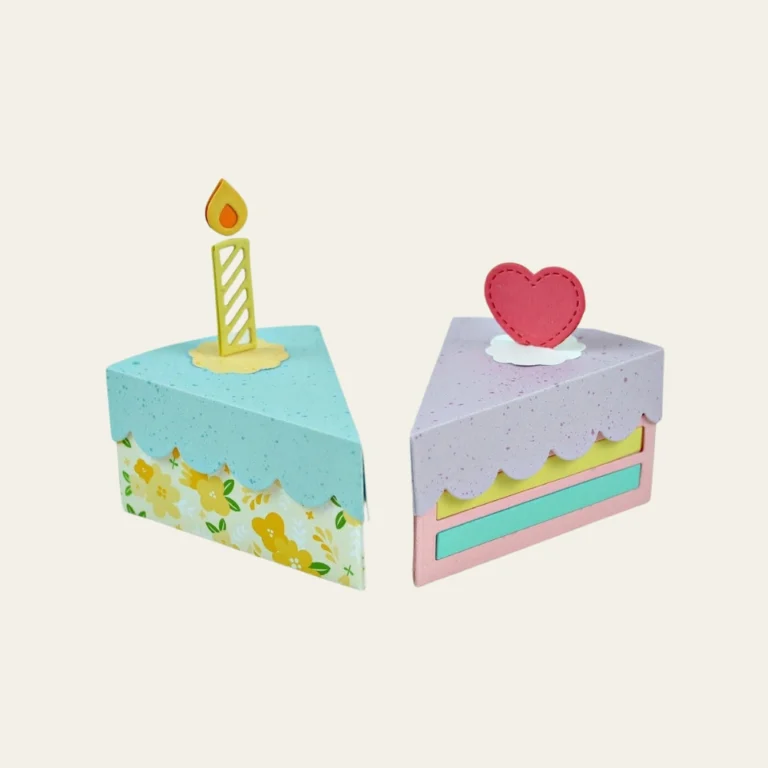 Cake Slice Boxes7