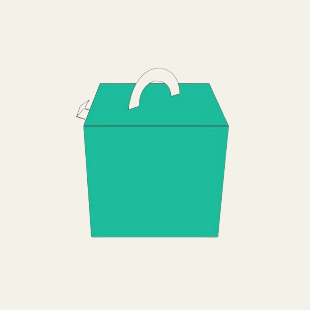 Cube Shaped Carrier - Hot Custom Boxes