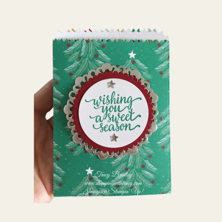 Christmas Mini Treat Bags - Hot Custom Boxes