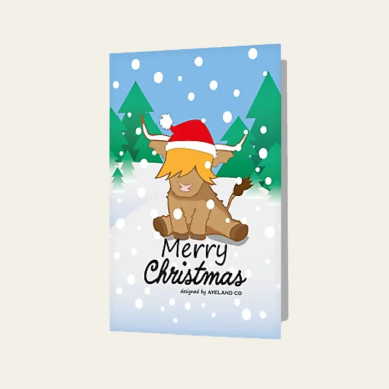 Santa Christmas Mailers Packaging - Hot Custom Boxes