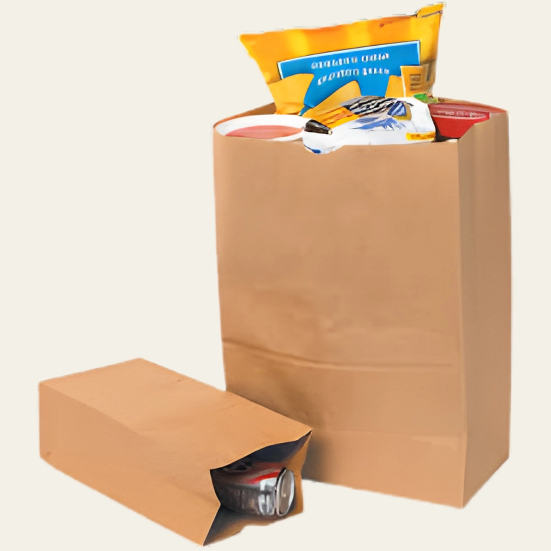Paper Grocery Bags - Hot Custom Boxes