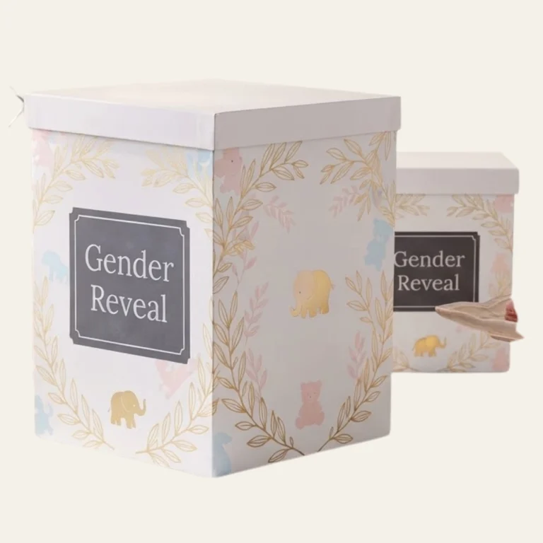 Gender Reveal Balloon Boxes (5)