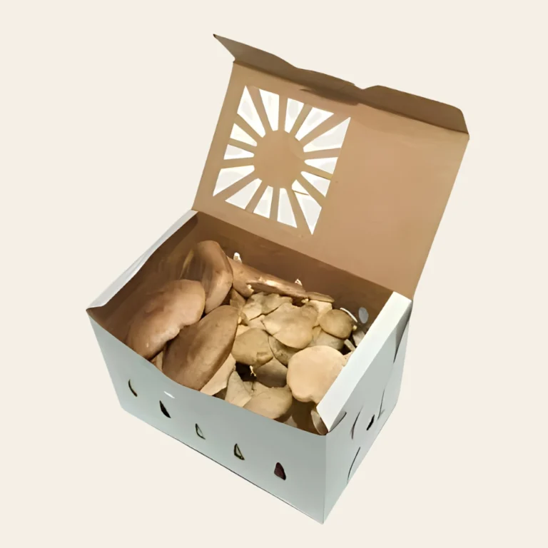 Mushroom Packaging