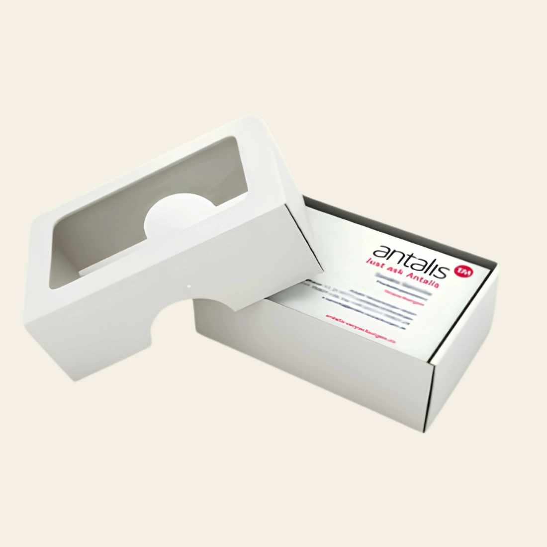 Custom Business Card Boxes